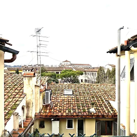 Greenhouse * Florenz